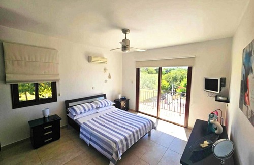 Moutallos Villa | Spacious 4 Bedroom detached villa with large pool/jacuzzi, outside Bar in Paphos