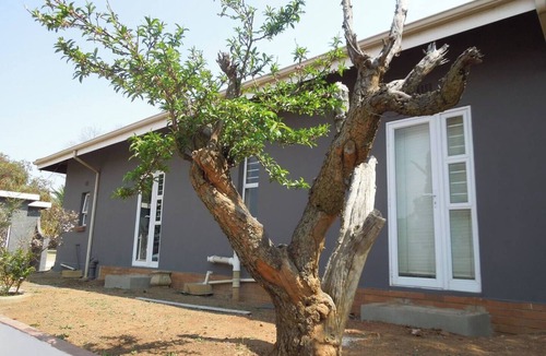 Edenvale House | Spacious 5-bedroom house with WiFi 15 min from the airpot.