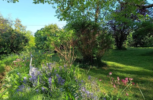 Mouliherne Apartment | Spacious accommodation surrounded by greenery