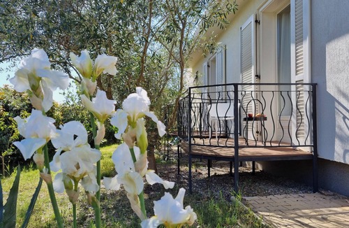Oupia Villa | Spacious and pleasant villa with a private pool