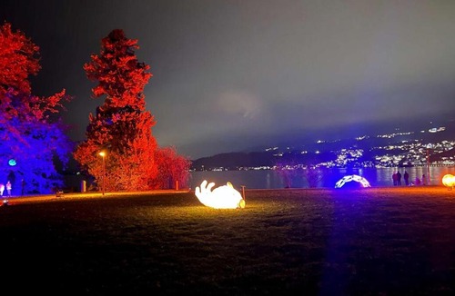 Horgen District Apartment | Spacious apartment with lake view and garden