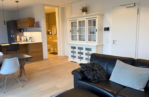 Horgen District Apartment | Spacious apartment with lake view and garden