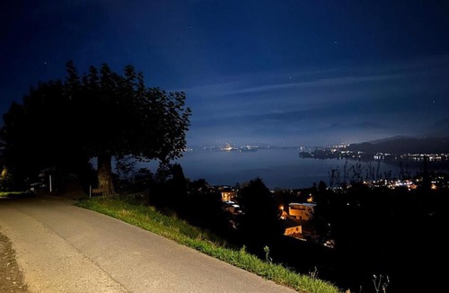Horgen District Apartment | Spacious apartment with lake view and garden