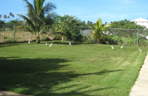 Arenales Bajos Apartment | Spacious, attractively decorated 2 BR 1bath gated Apt, 4 Mins to Jobos Beach