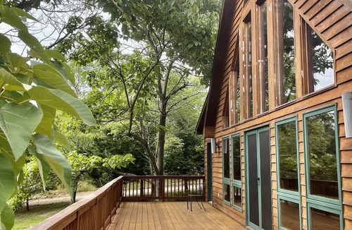 Berkeley Springs House | Spacious Cabin Right Next to Cacapon State Park