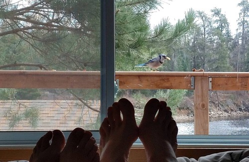 Benny Cabin | Spacious Cabin with Beachside Gazebo Ideal for an Ontario Holiday on Onaping Lake