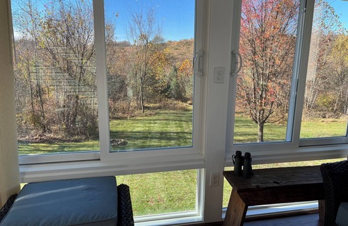 Delmont House | Spacious Comfortable Home to Work, Play or Relax