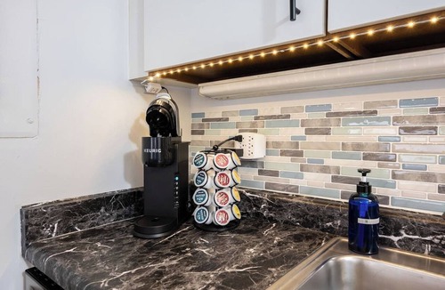 Printers Row Apartment | Spacious Downtown Penthouse | vintage, balcony&gym