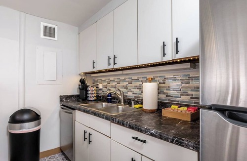 Printers Row Apartment | Spacious Downtown Penthouse | vintage, balcony&gym