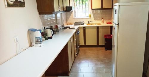Chios Town Apartment | Spacious guesthouse with garden and seaview