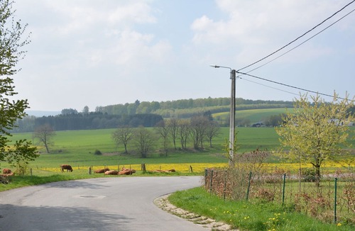 Champlon House | Spacious holiday home in Champlon with garden
