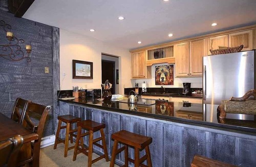 Mount Crested Butte Condo | Spacious Mountain Condo Retreat! Ski-In/Out w/Views, Fireplace, Dog Friendly