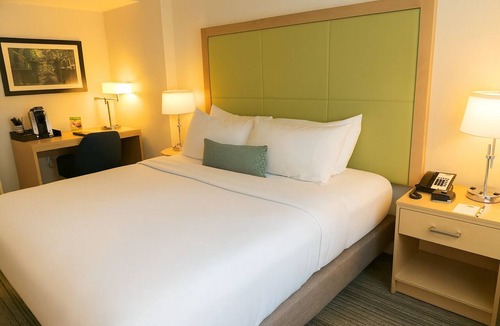 Medical Center Area Hotel | Spacious Premium King Room Near Premier Academic Sites - 1 Mile from HMS