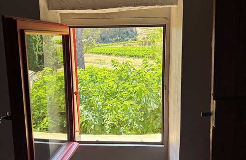 Vacqueyras Cottage | Spacious Provençal apartment at the heart of an organic vineyard