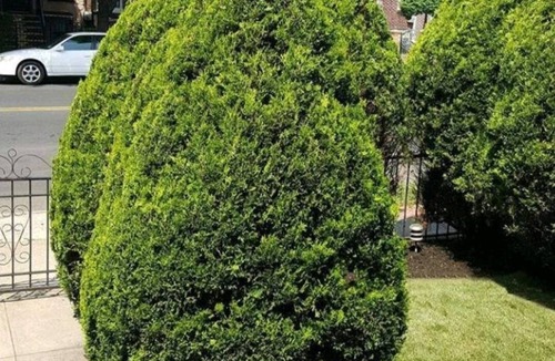 East Flatbush House | Spacious, quiet and cozy Townhome Apartment Brooklyn.