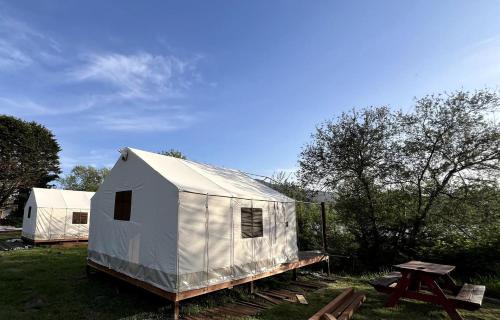 Klamath Other | Spacious Safari Tent, Perfect for a Northern California Glamping Getaway near Fern Canyon