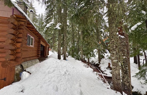 Government Camp House | Spacious Steiner Cabin on quiet street and stream.