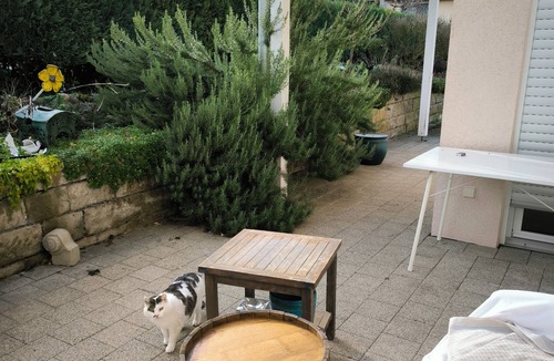 Kirchheim am Neckar Apartment | Spacious vacation apartment with vineyard view and terrace