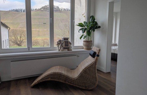Brauneberg Apartment | Spacious vacation apartment "Weinberg-Domizil" with 2 bedrooms in Brauneberg