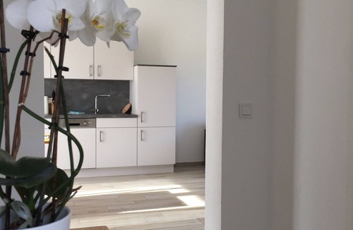 Lorsch Apartment | Spacious vacation apartment with a view of the vineyards in Mehring