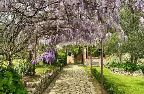Siena Villa | Spacious villa with stunning pool, luscious gardens