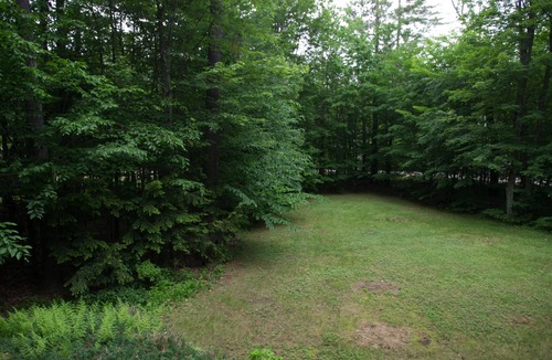 Bartlett House | Spacious White Mountain Home: hike, shop, visit Storyland,& other MWV favorites