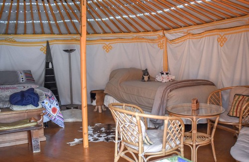 Kaikoura Cabin | Spacious Yurt with Sublime Views Ideal for Unique Getaway near Kaikoura, New Zealand