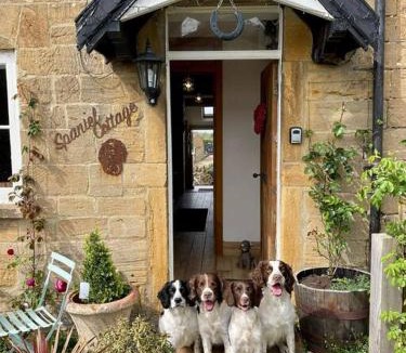 Stoke-sub-Hamdon House | Spaniel Cottage with views of Ham hill, Stoke sub Hamdon
