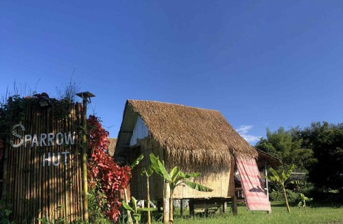Pai Other | Sparrow Hut