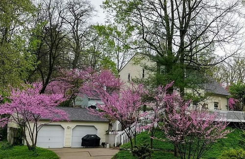 Anderson Township House | Spectacular Historic Home In The Heart Of It All!