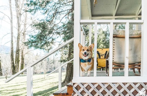 Castella Cabin | Spectacular Riverside Getaway Cabin with Claw Foot Bathtub in Castella, California