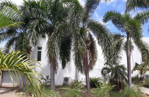 Estate East Street Villa | Spectacular Solitude bay beachfront villa
