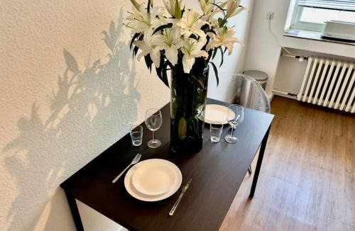 Golzheim Apartment | Spectecular Rhineview Fair Parking Luxury 12 Pers