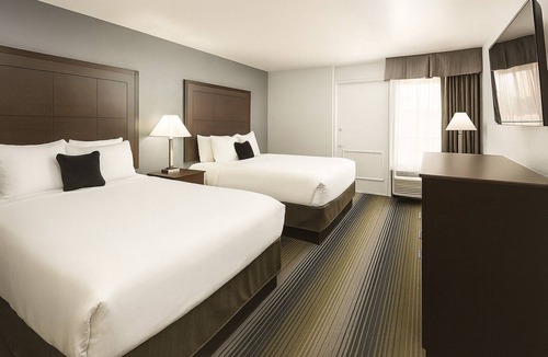 Downtown Tucson Hotel | Spend a day at Reid Park Zoo! Comfortable Accommodation in Downtown Tucson! Pool