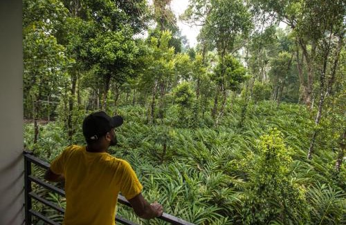 Devikolam Bed & Breakfast | Spice Jungle Resort
