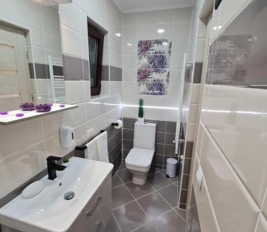 Fagaras House | Splendid House
