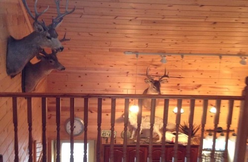 Oacoma Cottage | Sportsman's cabin near the Missouri River
