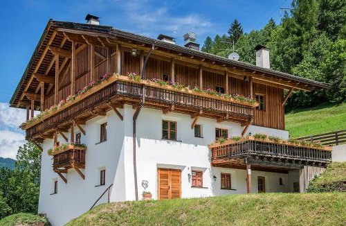 Campo di Trens Apartment | Sprechenstein