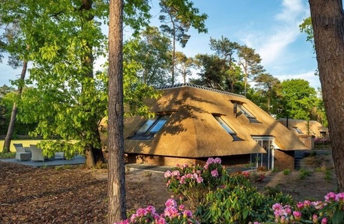Krachtighuizen Villa | Sprielderbosch 44 Luxury holiday home Veluwe, located on a holiday park