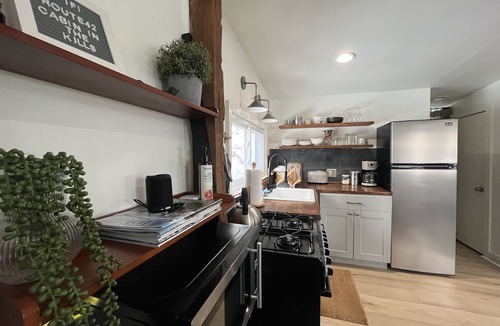 West Kill Cabin | Spring Flowers, Hikes, Fishing @ Modern Mtn. Cabin