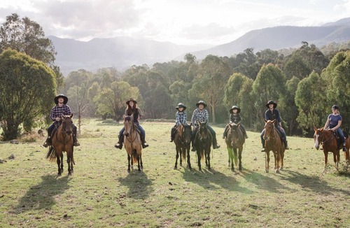 Tawonga House | Spring Spur Stay