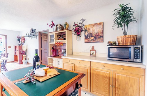 Jonesborough House | Spring Vibes, Fast Wifi, Pool Table, Working Vineyard with Disc Golf course