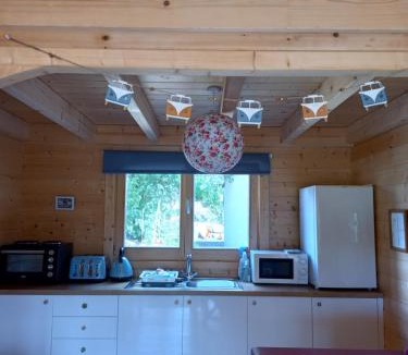Insch Ski Chalet | Springbank Cabin
