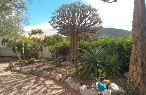 Springbok Hotel | Springbok Lodge & Restaurant