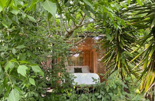 Valongo Villa | Springfield Lodge