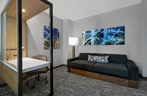 Franklin Hotel | SpringHill Suites by Marriott Franklin Cool Springs