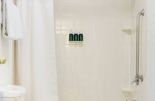 Florence Hotel | SpringHill Suites by Marriott Florence