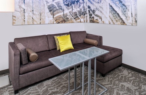 Romulus Hotel | SpringHill Suites by Marriott Detroit Metro Airport Romulus