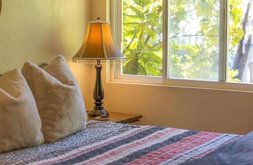 Sequim Apartment | SQ Rose Bud 1