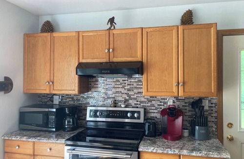 Mountain Cabin | Squatch Mountain is a 2-bedroom Cabin for all your "UPNORTH" Fun! Dog Friendly